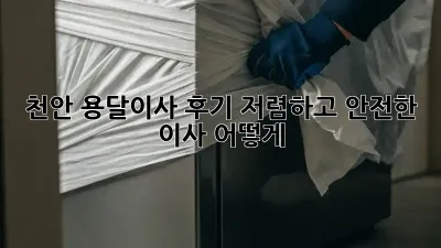 천안 용달이사 후기: 저렴하고 안전한 이사, 어떻게?